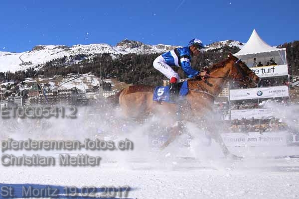 ET0Q0541.2 prot